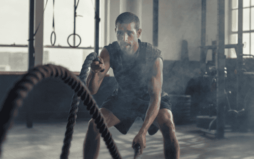 Battle Rope Training Test: Die 10 besten (Bestenliste)