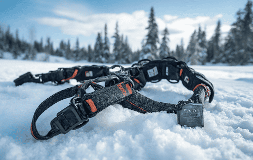 Schlittenzuggeschirr Test: Die 5 besten (Bestenliste)